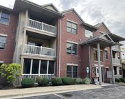 20301 S Pine Hill Road Unit #3B, Frankfort image