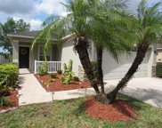 12427 Field Point Way, Spring Hill image