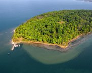 S Peck Island, Drummond Twp image