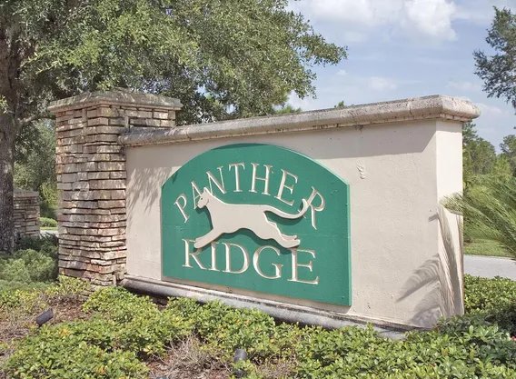 Recently Sold Homes in Panther Ridge
