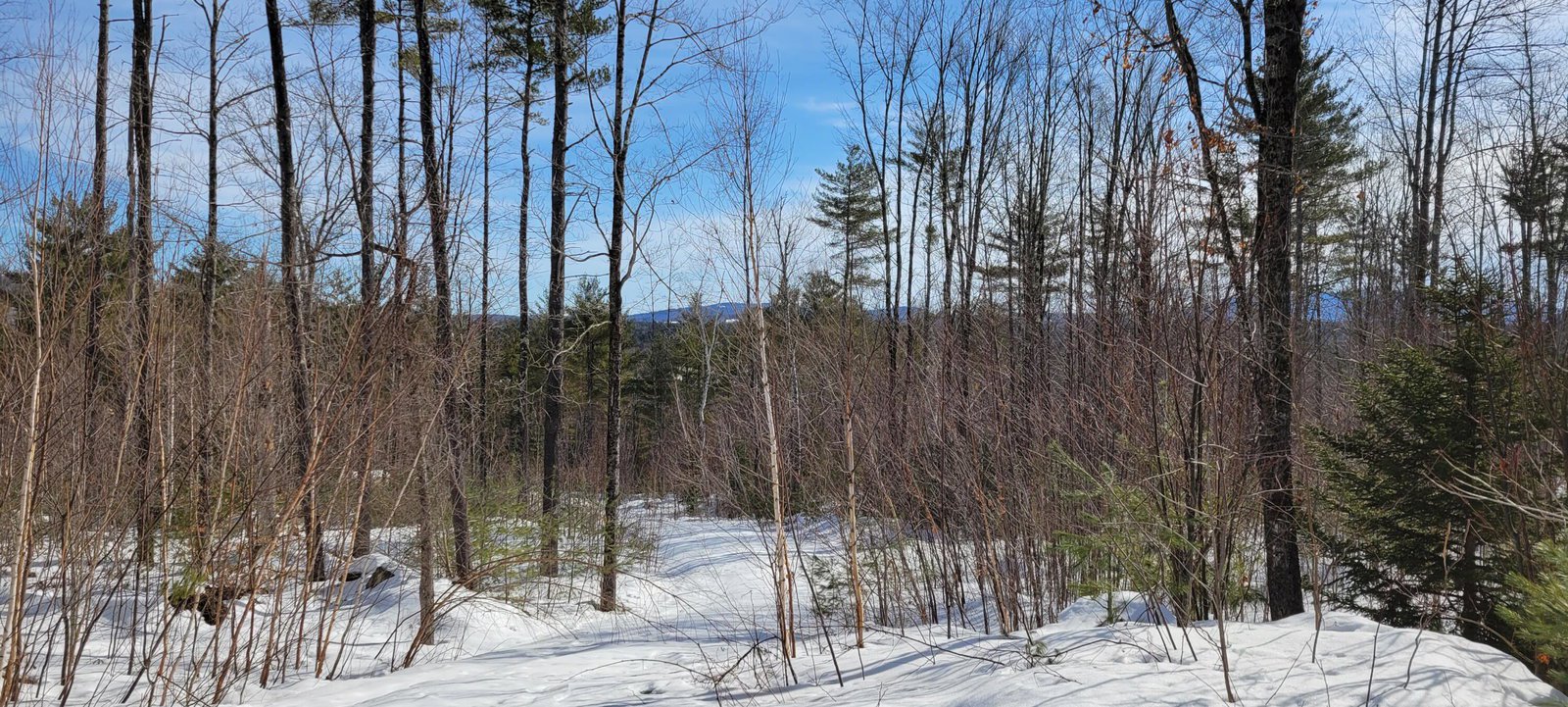 35A Rte 113, Stow, 04037