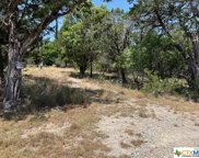 619 Cactus Flower, Canyon Lake image
