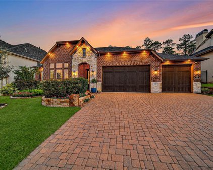 119 Timberfalls Drive, Conroe