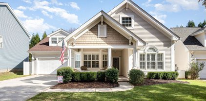 15414 Carrington Ridge  Drive, Huntersville
