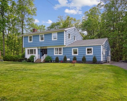 3 Franklin Ct, Berkeley Heights Twp.