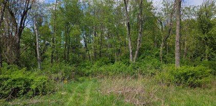 Spring Lake Drive, Mansfield