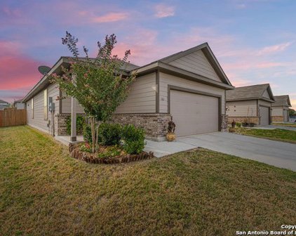 161 Buttercup Bend, New Braunfels