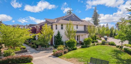 1137 NE Hickory Lane, Issaquah