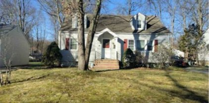 39 Hazelwood Ave, Livingston Twp.