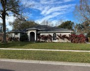 10009 Country Carriage Circle, Riverview image