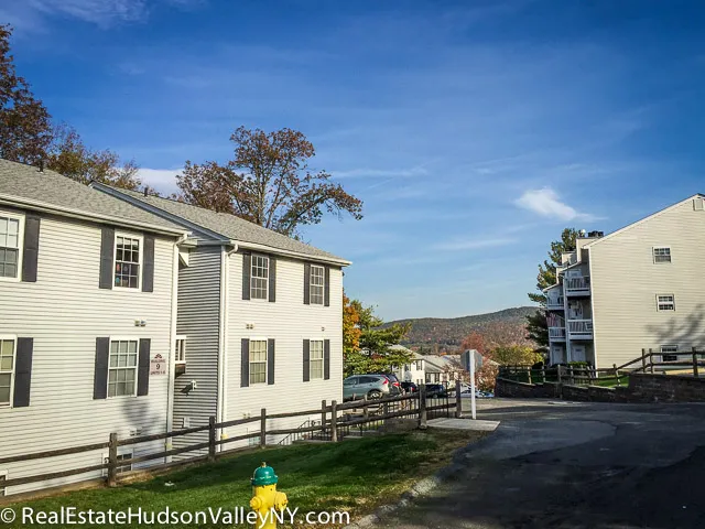 Lexington Hills Condos for Sale in Harriman NY