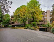 10680 151a Street Unit 204, Surrey image