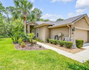 1325 Hansberry Lane, Ormond Beach image