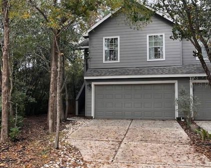 6 Verbena Bend Place, The Woodlands
