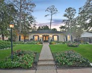 10103 Pine Forest Road, Houston image