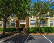 1600 Long Grove Drive Unit #828, Mount Pleasant image