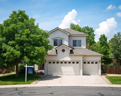 12785 Dexter Court, Thornton