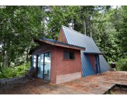 2973 S Tenmile Lake, Lakeside image