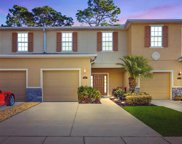 13917 River Willow Place, Tampa image