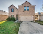 369 Cattle Run, Cibolo image