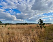 Land O' Lakes image