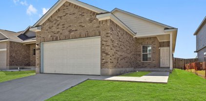 2450 Pink Pearl, San Antonio