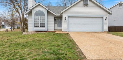 1060 Oak Glen  Circle, St Louis