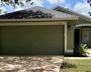11217 Summer Star Drive, Riverview image