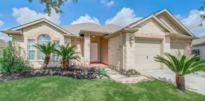 3306 Spindletop Court, Manvel
