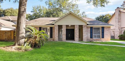 16406 Heiden Circle, Spring
