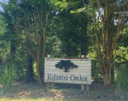 25 Blackbear Road, Edisto Island image