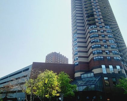 3660 N Lake Shore Drive Unit #2006, Chicago