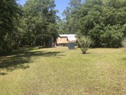 2063 St Marys River Bluff Rd, St George image