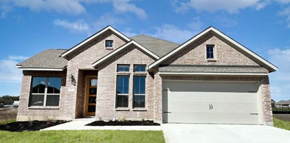 445 Foxtail Valley, Cibolo