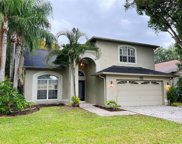 2107 Otter Way, Palm Harbor image