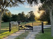 5747 Buller Road, Pattison image