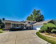 419 Claremont Drive, Downers Grove image