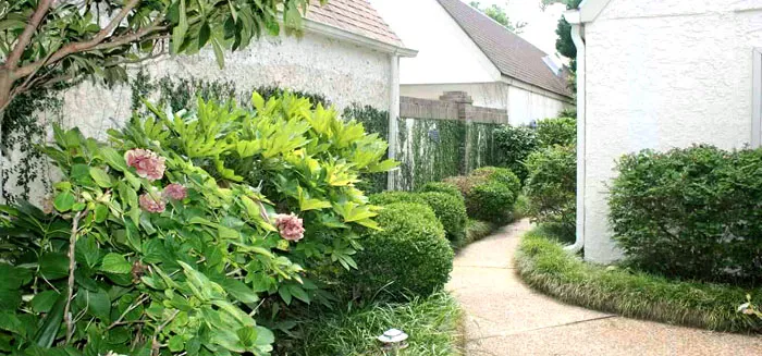 Antigua Landscaping