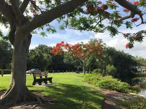 Florida Park