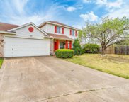 3417 Forest Creek Drive, Fort Worth image