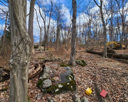 44 Shongum Rd, Denville Twp.