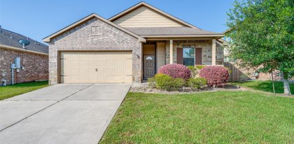2519 Amy Lee Drive, Conroe