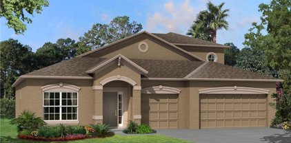 9530 Seagrass Port Pass, Wesley Chapel