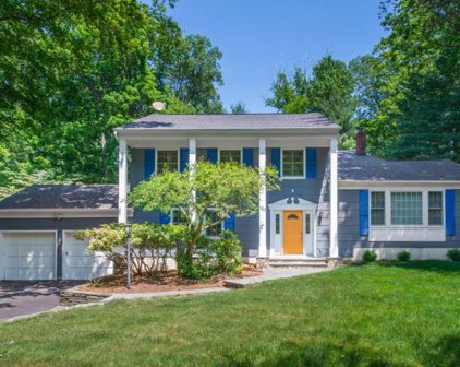 6 Overbrook Rd, Randolph Twp.