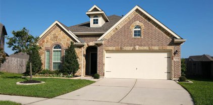 13610 Masonwood Field Court, Cypress