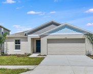 12749 Mangrove Forest Drive, Riverview image