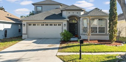10024 Coldwater Loop, Land O' Lakes