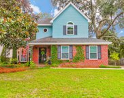 1498 Old Williamston Court, Mount Pleasant image