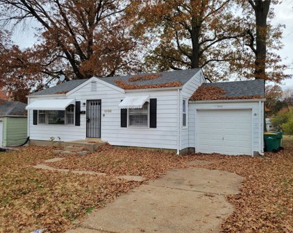 10135 Cabot  Drive, St Louis