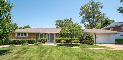 10041 Stonell  Drive, Affton